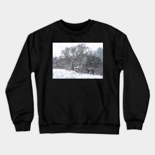 Winters touch Crewneck Sweatshirt